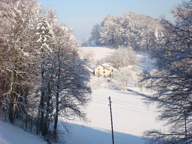 ../Images/Jagd 049.jpg